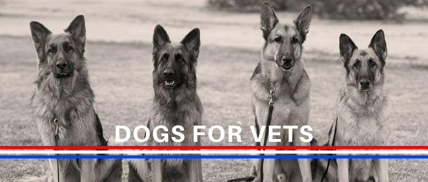German shepherds for sales veterans